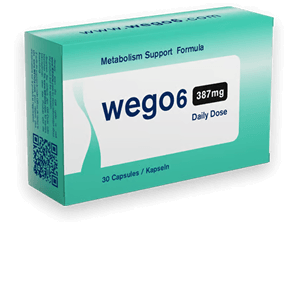 Wego6